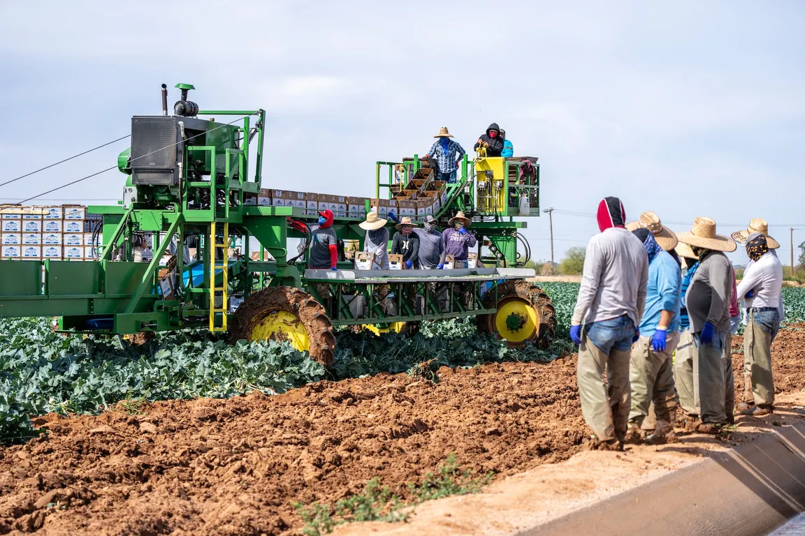 Read more about the article Essential Maintenance Tips to Keep Your Agricultural Equipment Running Smoothly